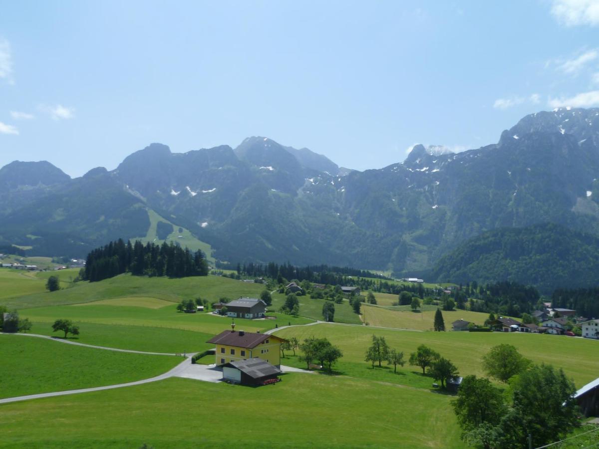 Apartement Obweghof Abtenau, Salzburger Land Esterno foto